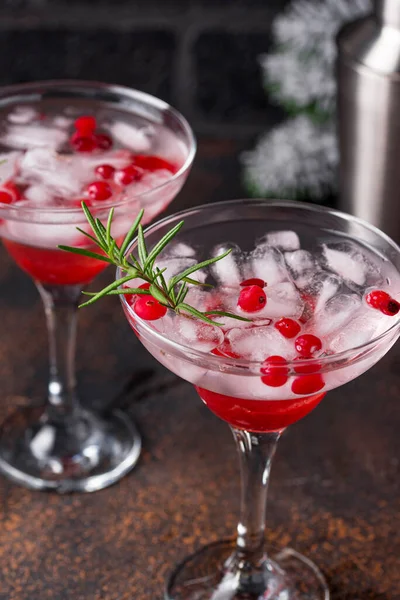 Cranberry margarita cocktail. Kerstdrankje — Stockfoto