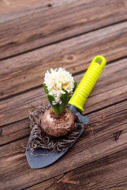 Çiçek açan bahar bahçıvanlığı konsepti