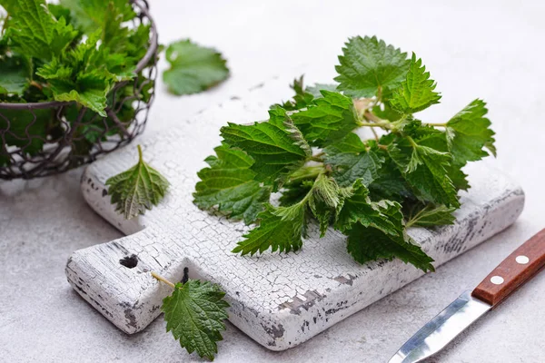 Young fresh nettle, spring herbs for cooking — Stock Fotó