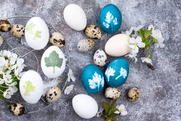 Húsvéti kék tojás festett természetes festék — Stock Fotó