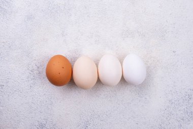 Tavuk yumurtalarının gradyanı aydınlıktan karanlığa