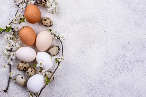 Oeufs de poulet dégradés de clair à foncé — Photo