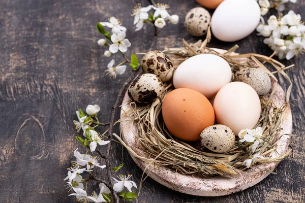 Composition de Pâques avec œufs et branche en fleurs — Photo