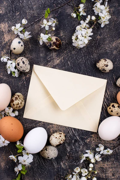 Œufs de poulet et de caille avec branche en fleurs — Photo