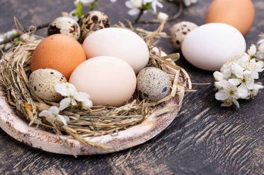 Yumurtalı ve çiçek açan dallı Paskalya kompozisyonu