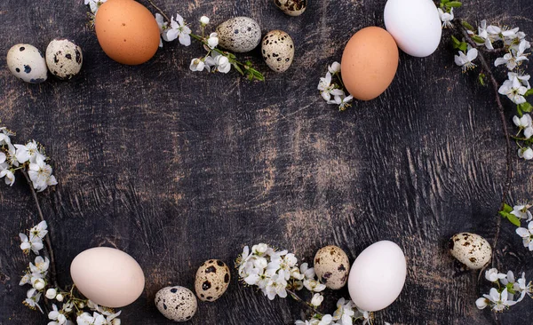 Œufs de poulet et de caille avec branche en fleurs — Photo