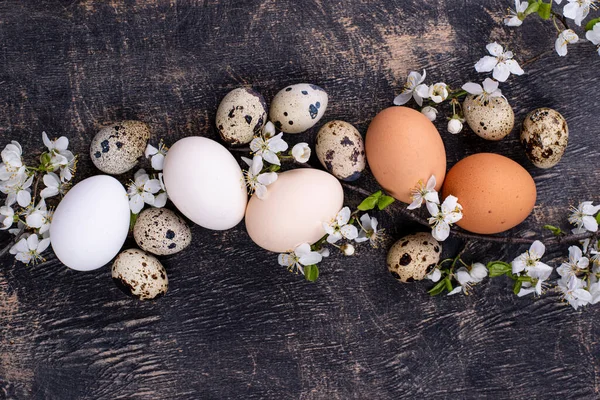 Œufs de poulet et de caille avec branche en fleurs — Photo