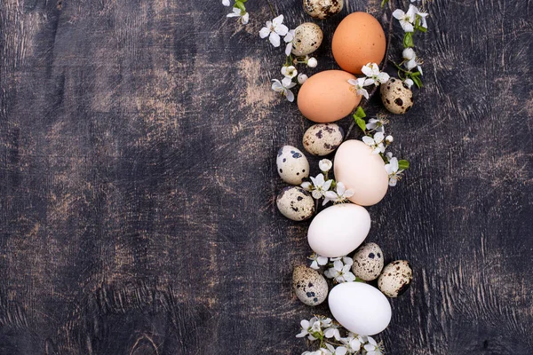 Œufs de poulet et de caille avec branche en fleurs — Photo