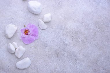 Spa konsepti. Doğal güzellik kozmetikleri