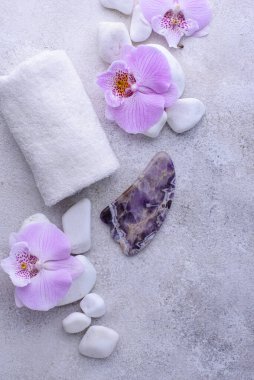 Spa konsepti. Doğal güzellik kozmetikleri