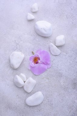 Spa konsepti. Doğal güzellik kozmetikleri