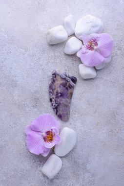 Spa konsepti. Doğal güzellik kozmetikleri