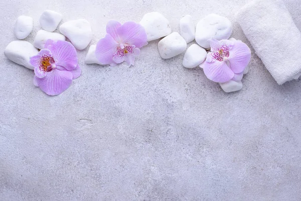 Spa konsepti. Doğal güzellik kozmetikleri