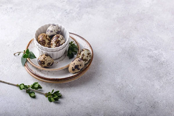 Arka planda bıldırcın yumurtaları olan bir kase