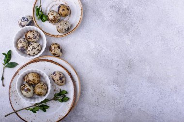 Arka planda bıldırcın yumurtaları olan bir kase