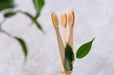 Bambu diş fırçası, sıfır atık bakım ürünü.