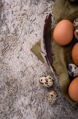 Taş zeminde tavuk ve bıldırcın yumurtası