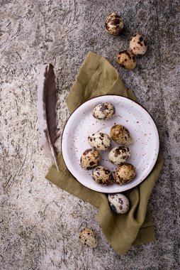 Taş zeminde çiğ bıldırcın yumurtası