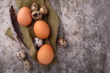 Taş zeminde tavuk ve bıldırcın yumurtası