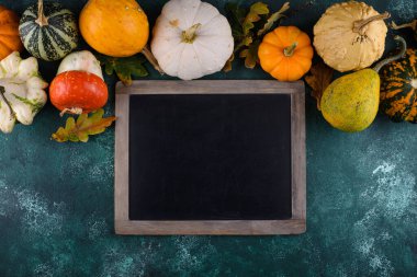 Çeşitli dekoratif balkabakları. Sonbahar hasadı