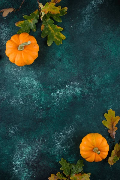 Várias abóboras decorativas. Colheita de outono — Fotografia de Stock