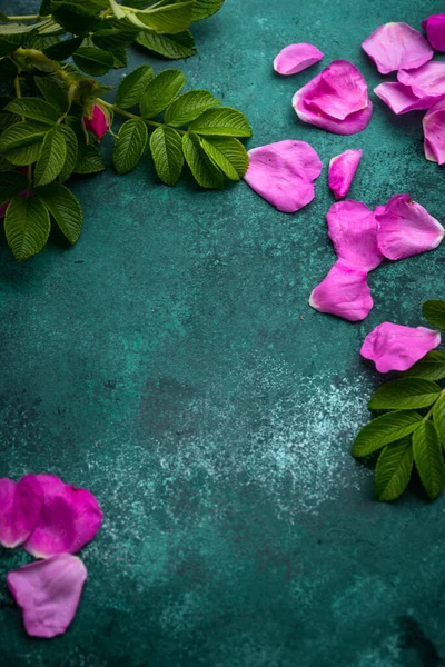 Yapraklı pembe kalça yaprağı.