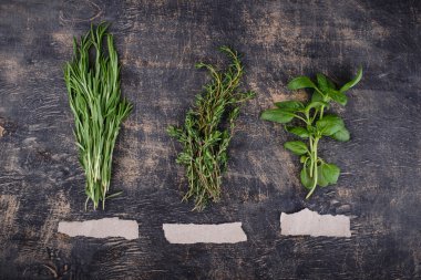 Biberiye, kekik ve fesleğen. Taze bahçe bitkileri.