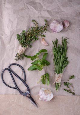 Biberiye, kekik ve fesleğen. Taze bahçe bitkileri.