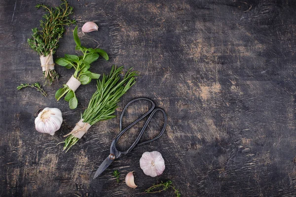 Rosemary, thyme and basil. Fresh garden herbs — Stock Photo, Image