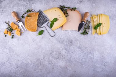 Farklı çeşit peynir. Parmesan, çedar, gouda ve maasdam.