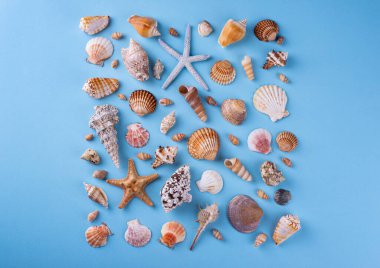 Kum ve deniz kabuğuyla yaz denizcilik geçmişi