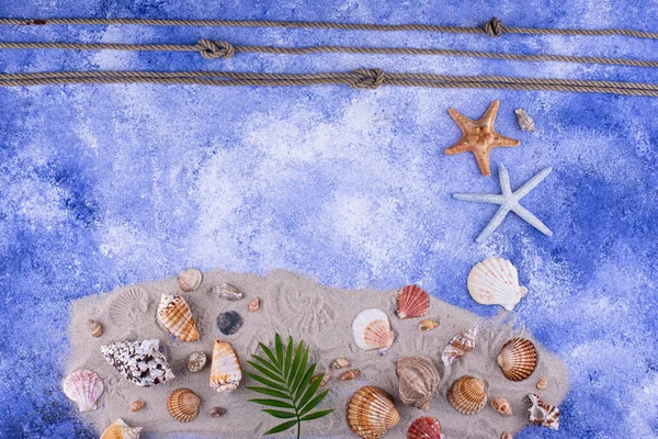 Summer Nautical Marine Background Sand Shell — Stock Photo, Image