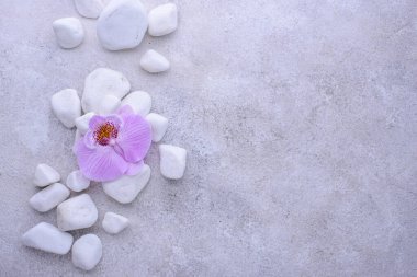 Spa konsepti. Doğal güzellik ve sağlık cilt bakım ürünleri