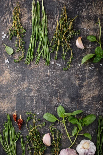 Biberiye, kekik ve fesleğen. Taze İtalyan bahçe bitkileri ve baharatları
