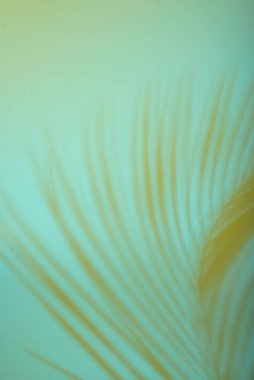 Tropical leaves in neon light with blurred unfocused duotone color shadows