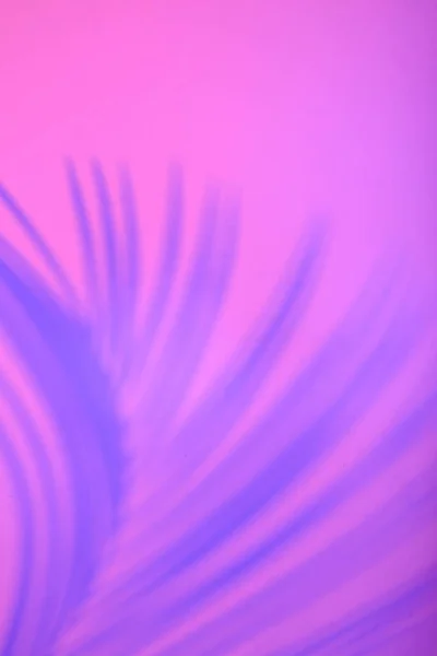 Tropical Leaves Neon Light Blurred Unfocused Duotone Color Shadows — Stock Photo, Image