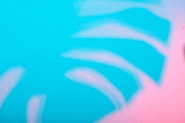 Tropical leaves in neon light with blurred unfocused duotone color shadows