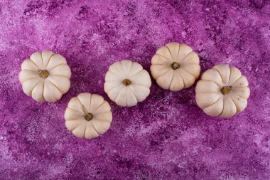 White and green decorative pumpkins. Autumn background