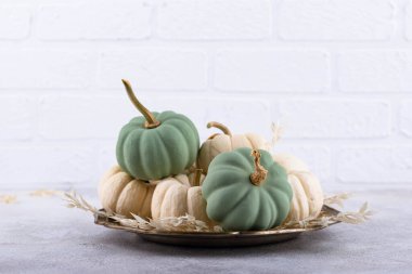 White and green decorative pumpkins. Autumn background