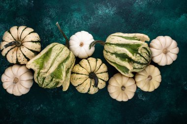 Farklı dekoratif balkabaklarıyla sonbahar sonbahar arkaplanı