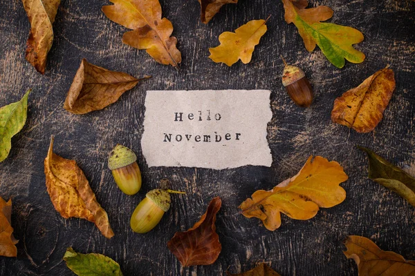 Autumn fall background with different dry leaves. Hello November text