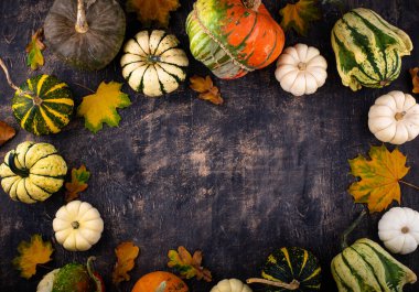 Farklı dekoratif balkabaklarıyla sonbahar sonbahar arkaplanı