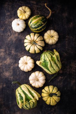 Farklı dekoratif balkabaklarıyla sonbahar sonbahar arkaplanı