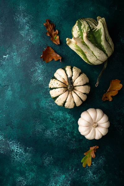 Autumn Fall Background Different Decorative Pumpkins — Stock Photo, Image