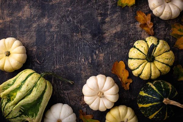Autumn fall background with different decorative pumpkins