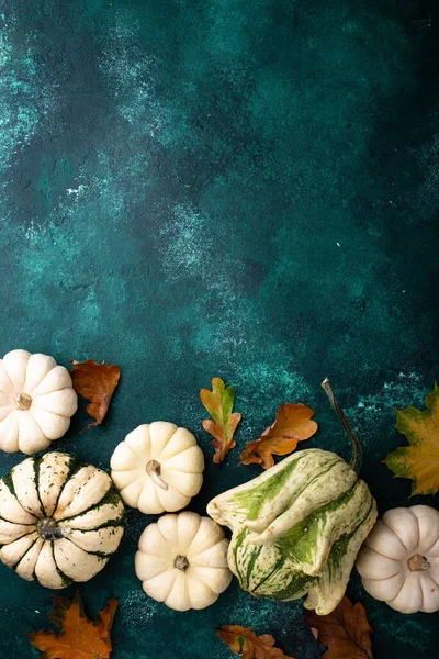 Autumn fall background with different decorative pumpkins