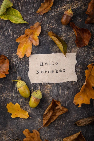 Autumn fall background with different dry leaves. Hello November text