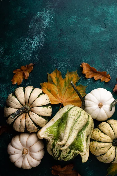 Autumn fall background with different decorative pumpkins
