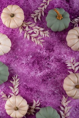 White and green decorative pumpkins. Autumn background