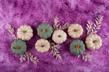 White and green decorative pumpkins. Autumn background